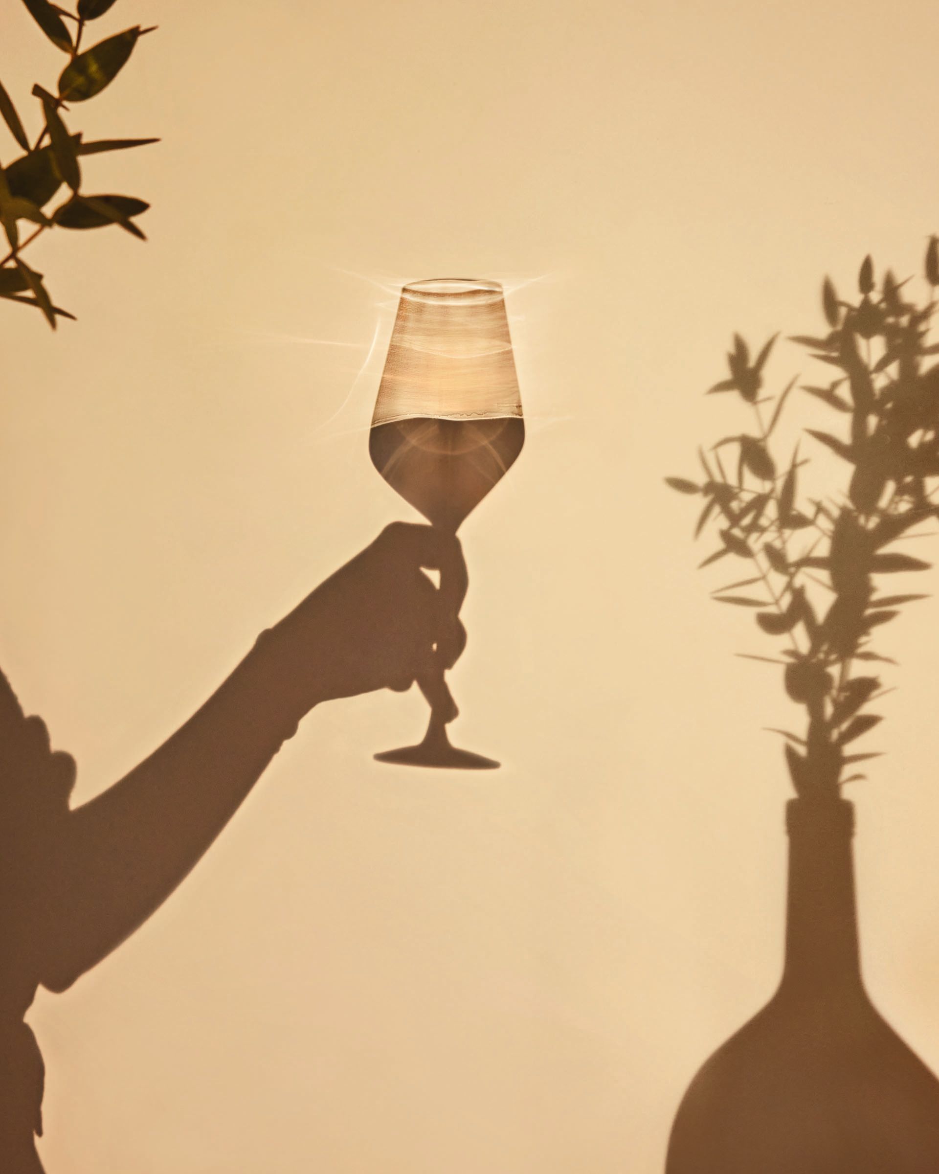 Ultime Collection - Stem Glasses