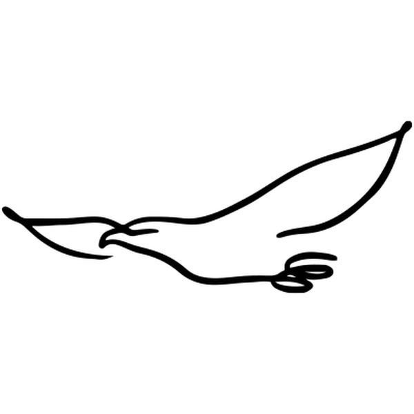 Aigle