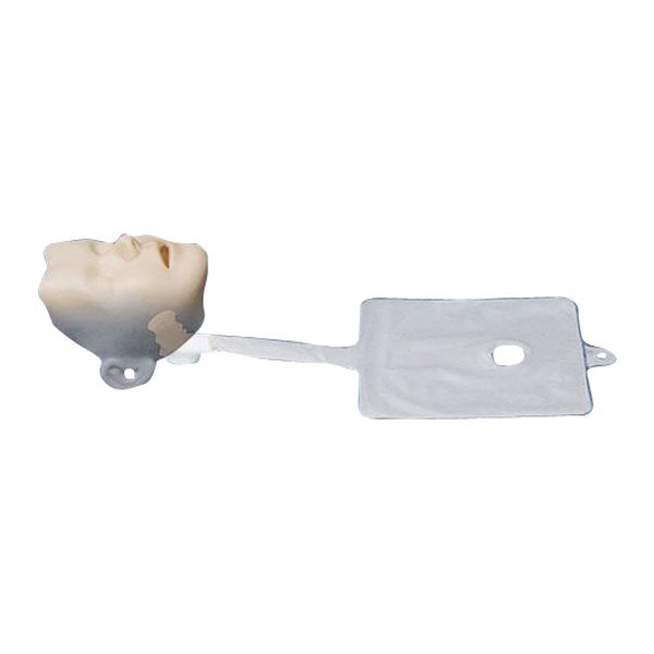 Voies respiratoires pour mannequin Little Junior et Resusci Junior - LAERDAL - Par 25