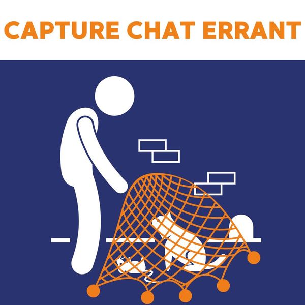 Filet de capture pour chien errants 2x2m