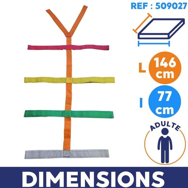 dimension sangle araignée​ adulte