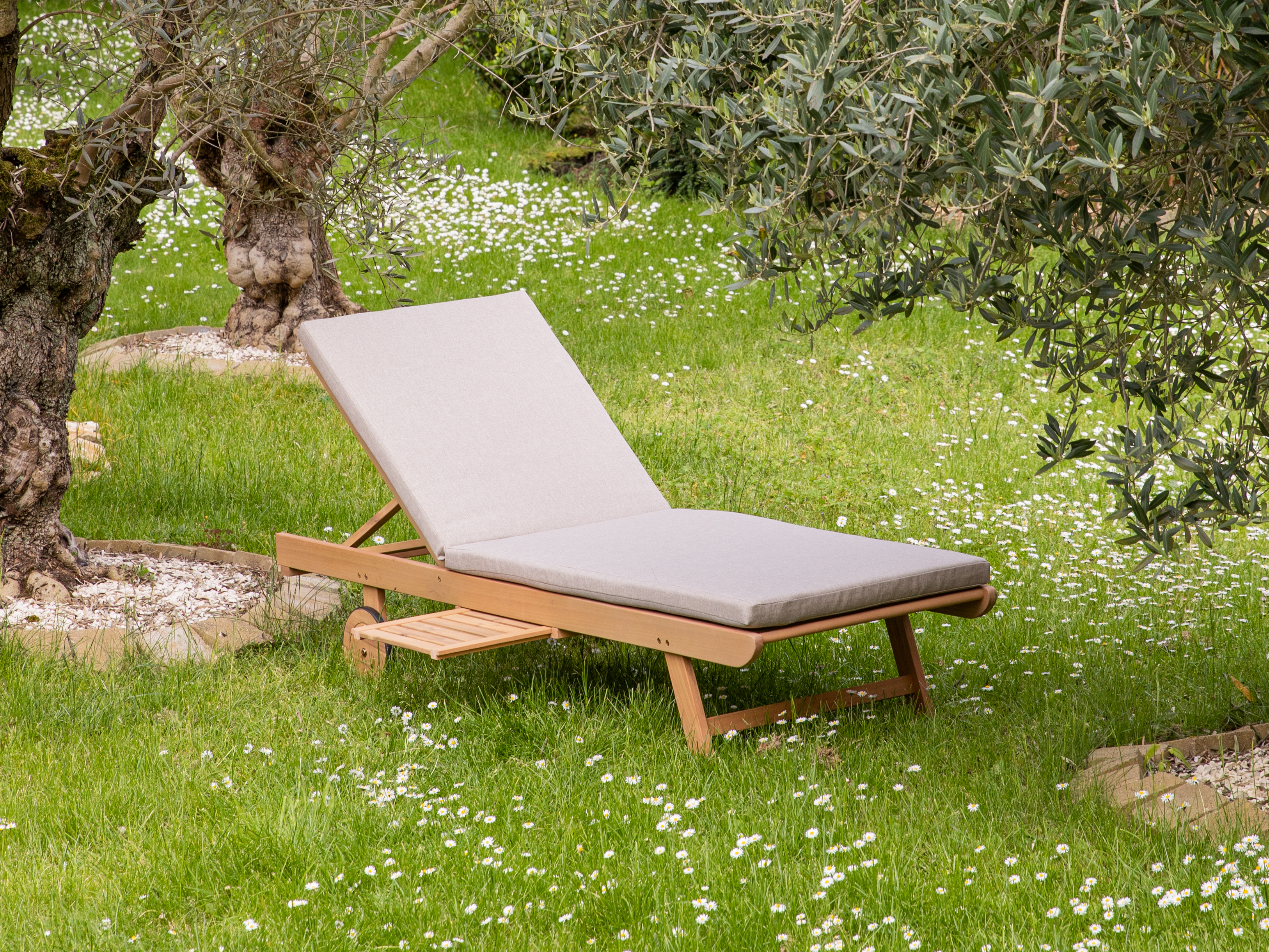 Happy Garden met au service de ses clients plus de 10 ans d’expérience