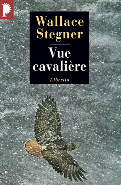 Vue cavalière