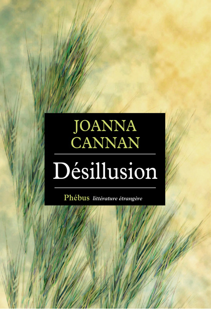 Désillusion