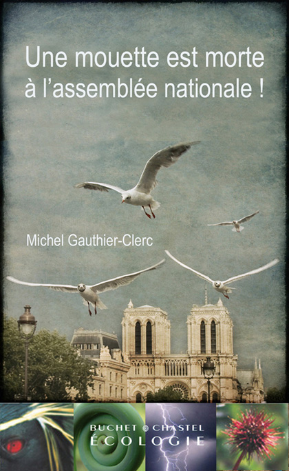 Une mouette est morte à l’Assemblée nationale !