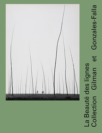 La Beauté des lignes