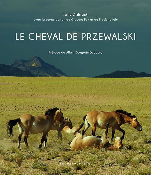 Le Cheval de Przewalski