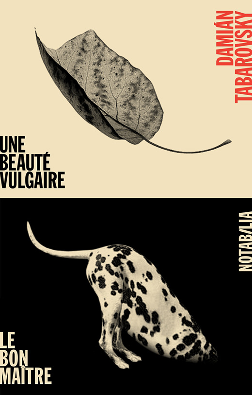 Une beauté vulgaire (suivi par Le bon maître)